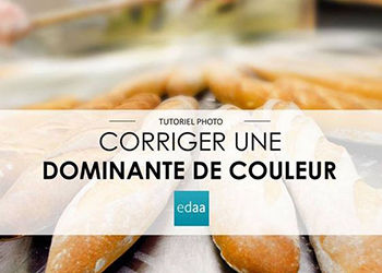 Comment corriger une dominante de couleur : le nouveau tuto vidéo