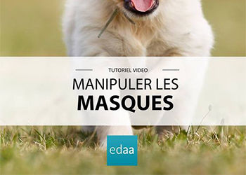  Voici notre tout nouveau tuto : les masques de fusion dans Photoshop