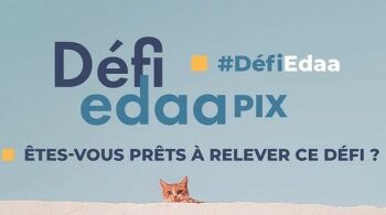 Défi Instagram : 1 photo par jour de novembre selon un thème donné