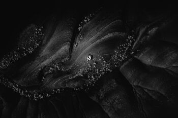 Marine expose une série en noir et blanc