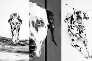 De professeure � photographe : le t�moignage inspirant de Delphine