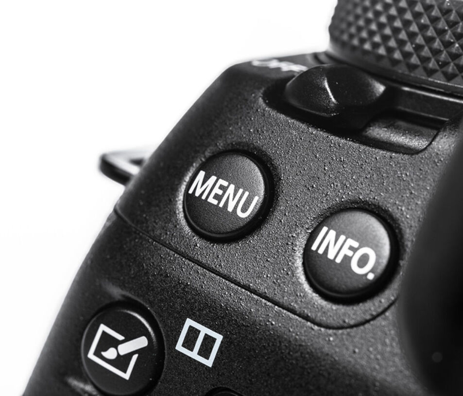 Programme de la formation