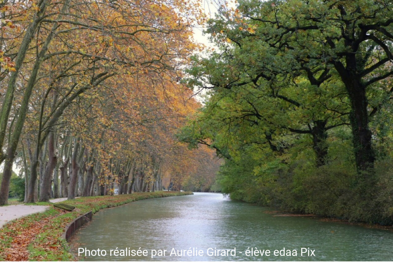Nature & quiétude