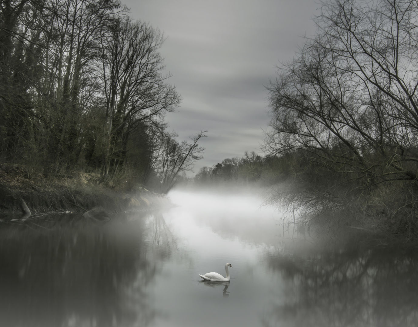 Photographie Frdric F. lve en formation photo #edaaPIX