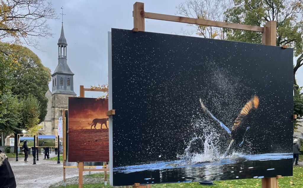 Exposition photo à Montier en Der