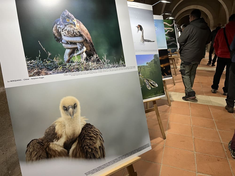 exposition photo au festival de montier