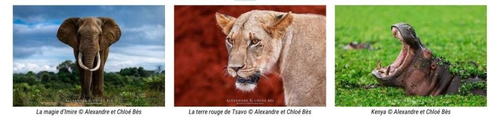 Photos animalires par Alexandre et Chlo Bs