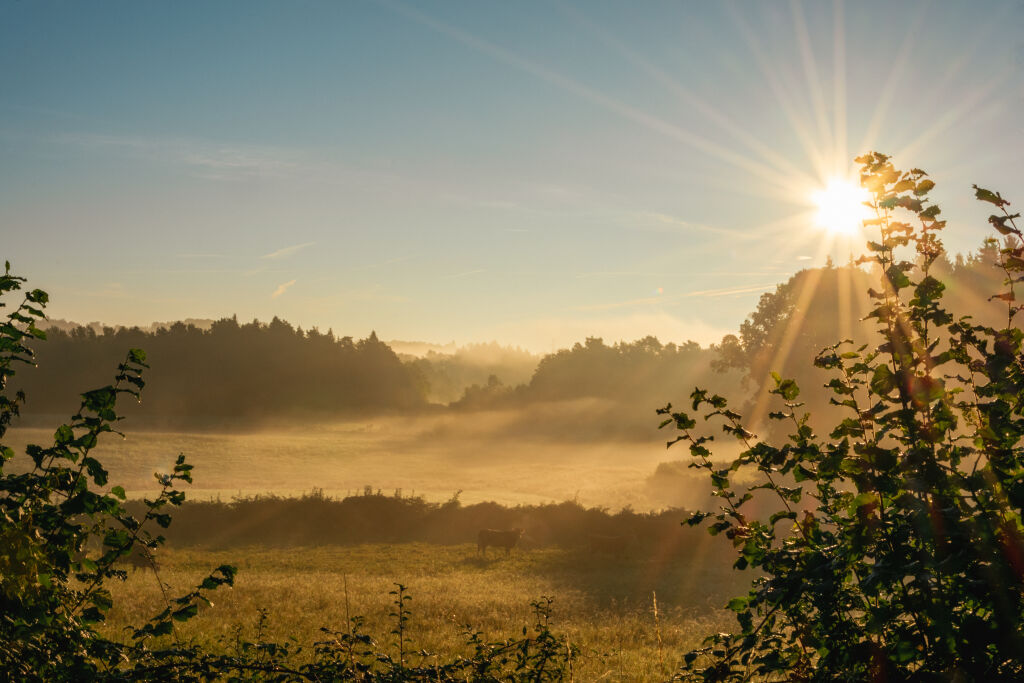 Photo de paysage, ralise par Stphanie