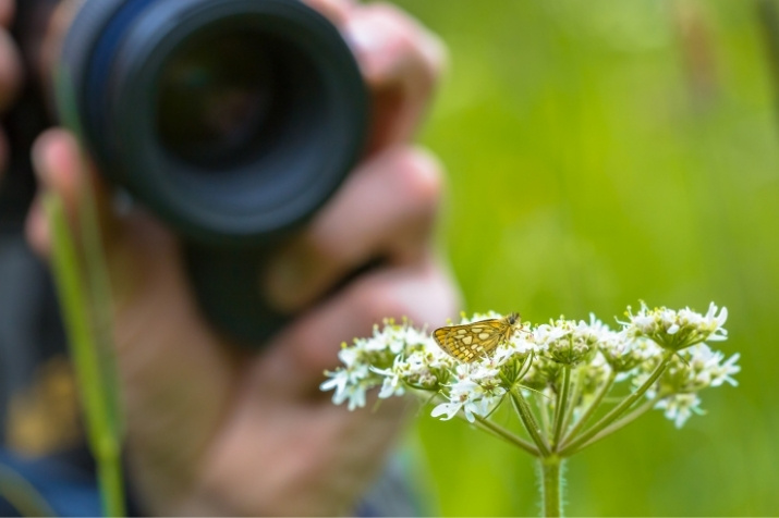 devenir photographe macro