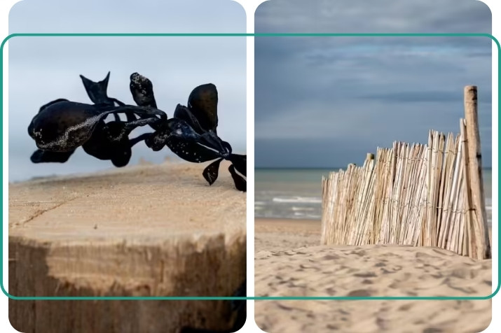 Par Virgine R.  Initiation  la photographie de paysage