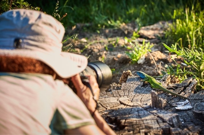 photographe animalier