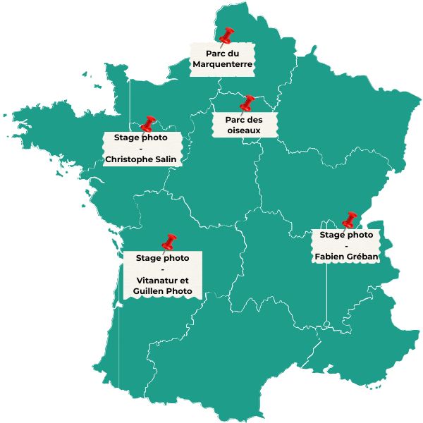 carte france stage photo animalier