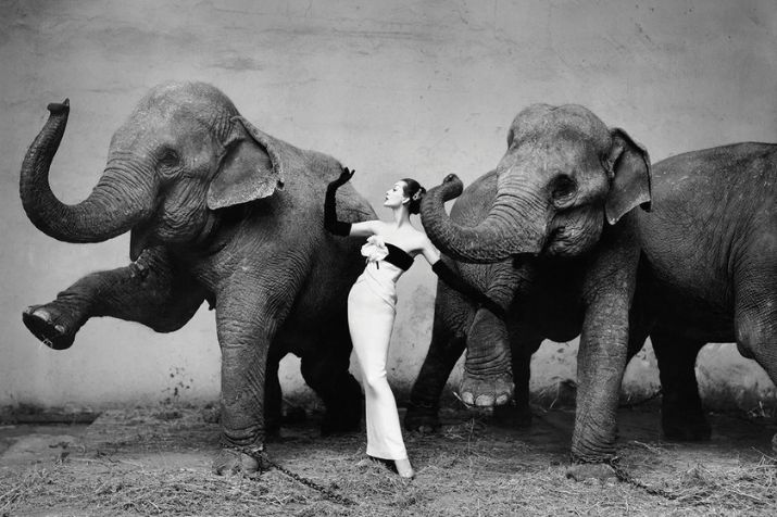 Richard Avedon