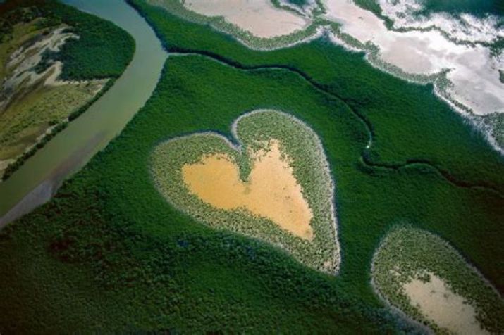 Yann Arthus Bertrand