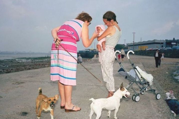 Martin Parr