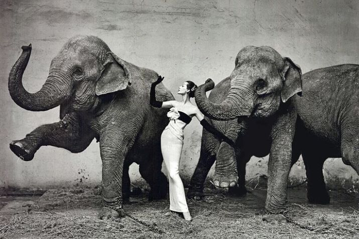 Richard Avedon