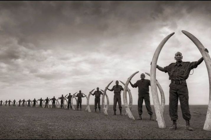 Nick Brandt
